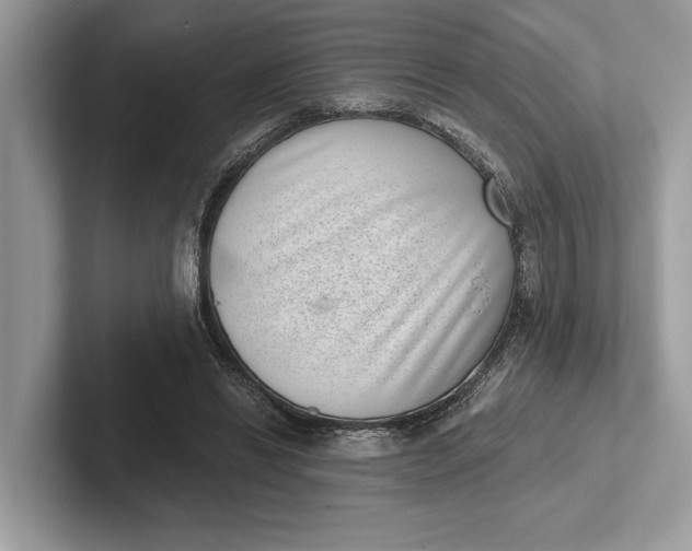 X0000101420446200807211132