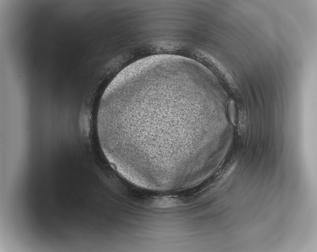 X0000101420451200807211132