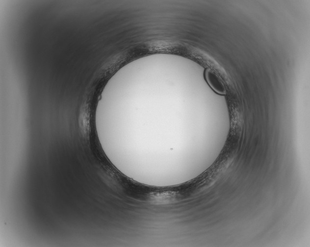 X0000101420452200807211132