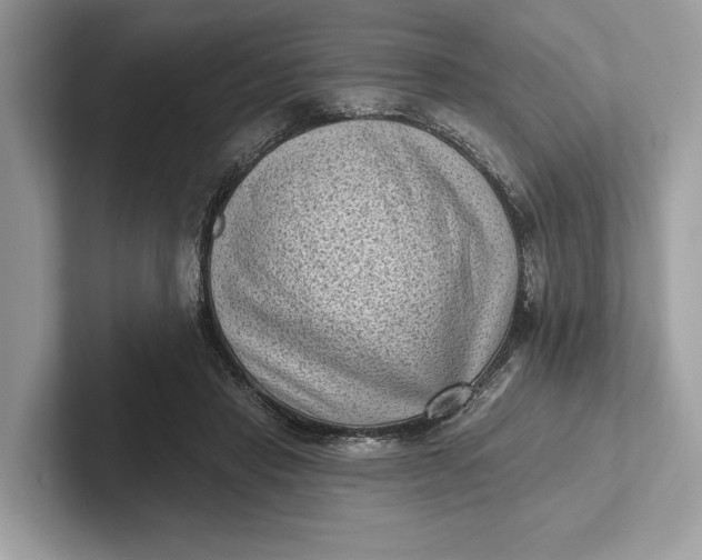X0000101420453200807211132