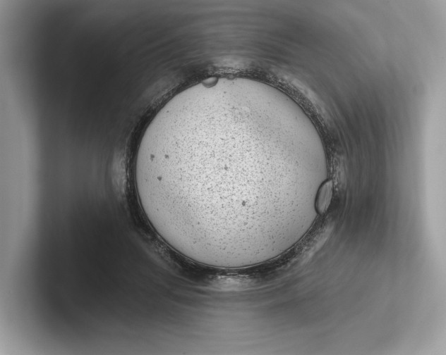 X0000101420455200807211132