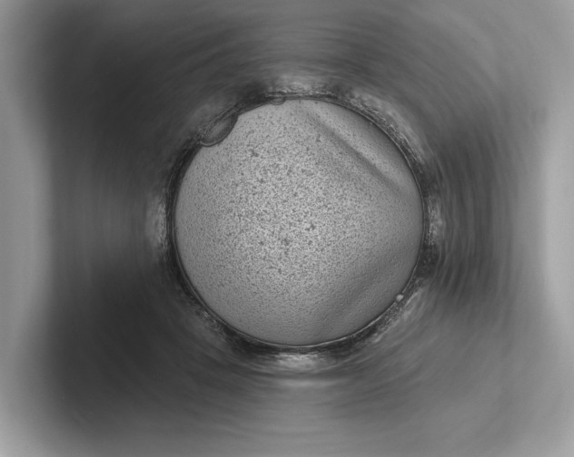 X0000101420457200807211132