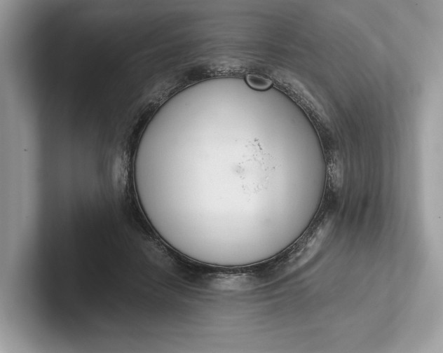 X0000101420458200807211132