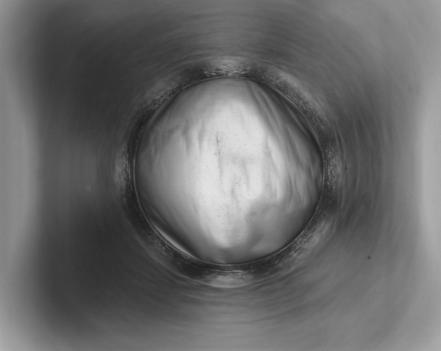 X0000101420459200807211132