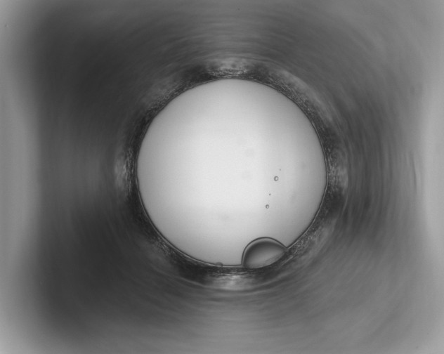 X0000101420460200807211132