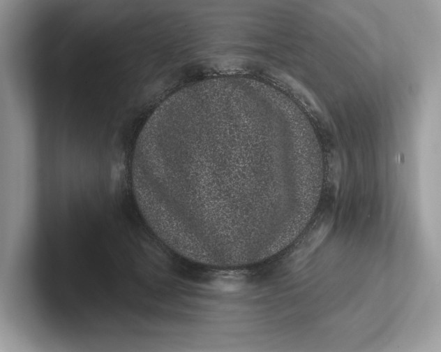 X0000101420465200807211132