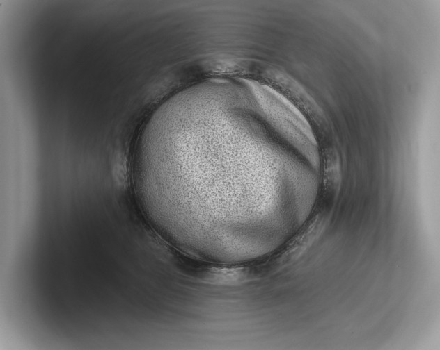 X0000101420469200807211132