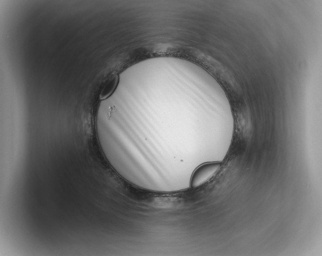 X0000101420470200807211132