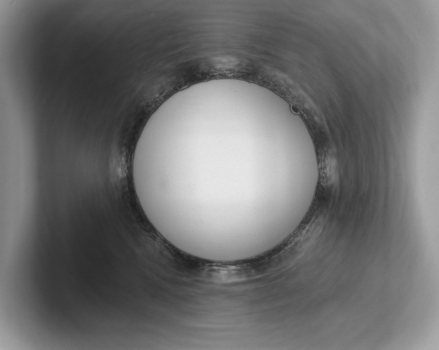 X0000101420472200807211132