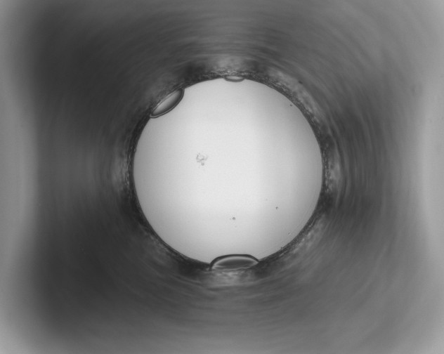 X0000101420473200807211132