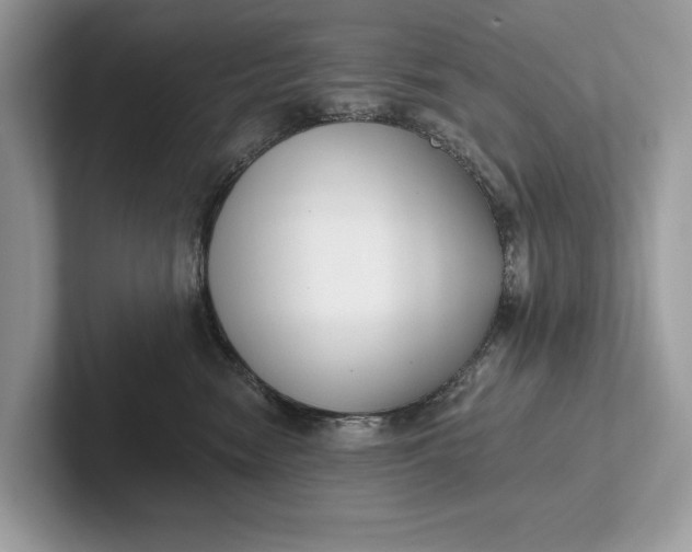 X0000101420474200807211132