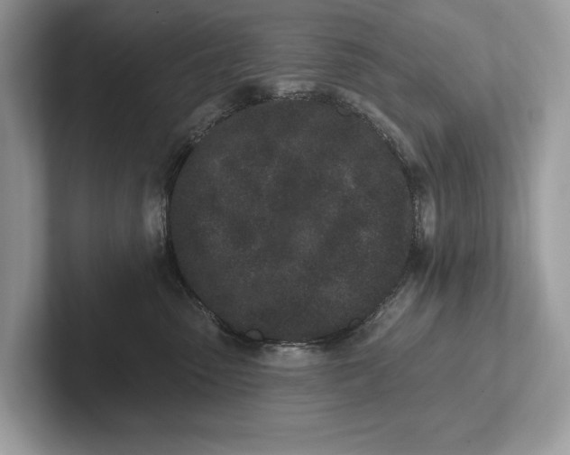 X0000101420475200807211133