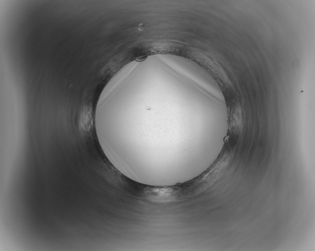 X0000101420478200807211133