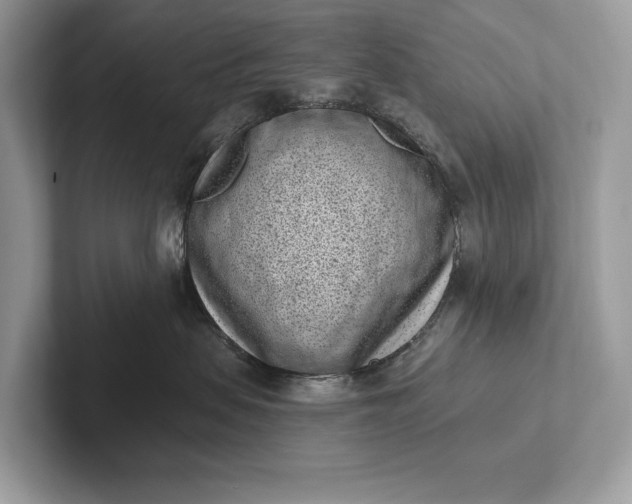 X0000101420479200807211133