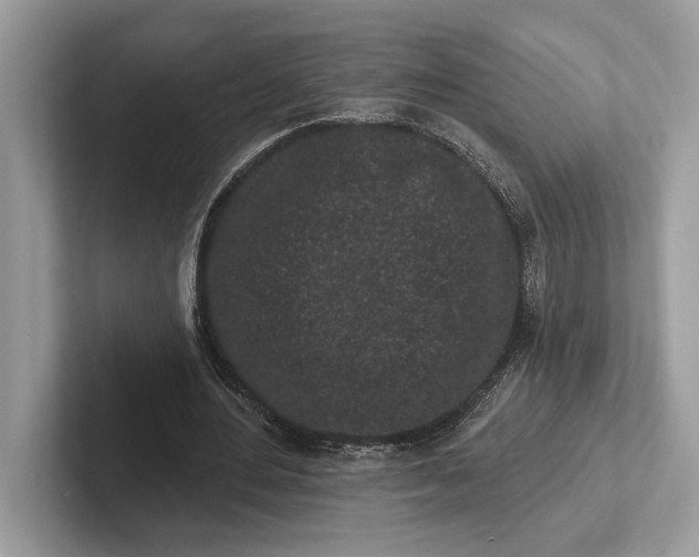 X0000101420484200807211132