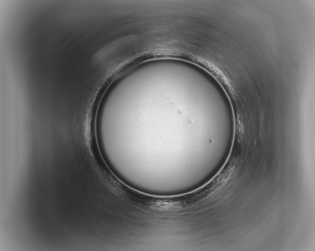 X0000101420487200807211132