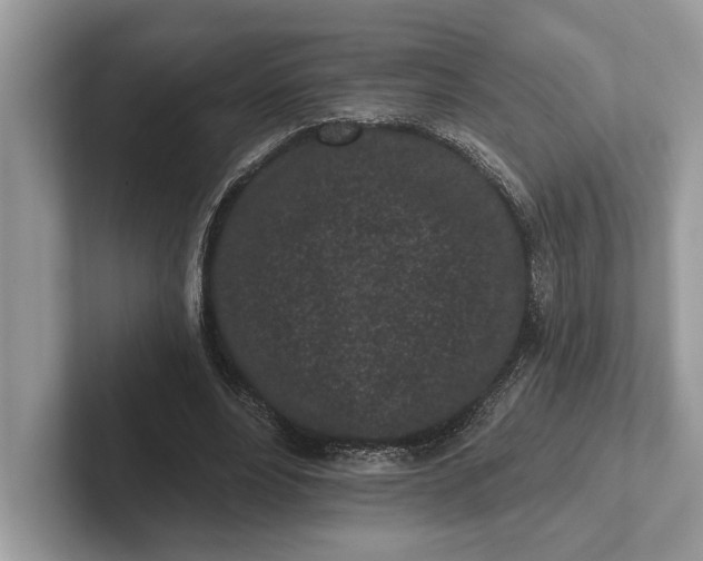 X0000101420488200807211132