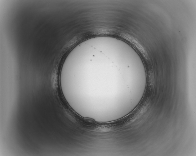X0000101420489200807211132