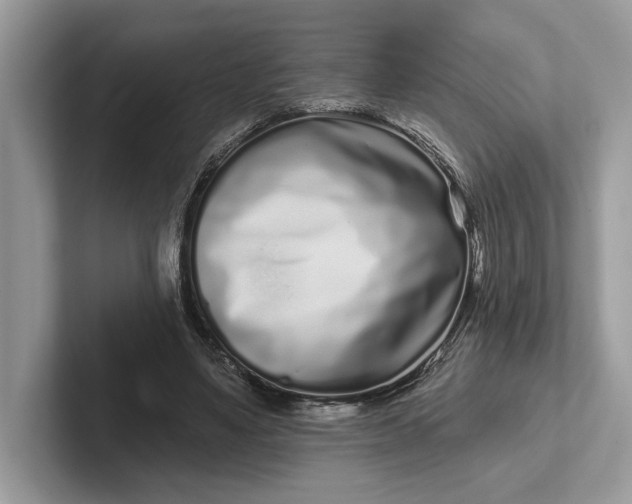 X0000101420491200807211132