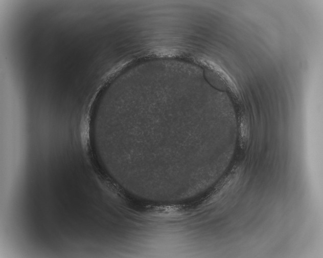 X0000101420492200807211132