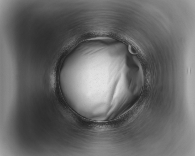X0000101420494200807211132