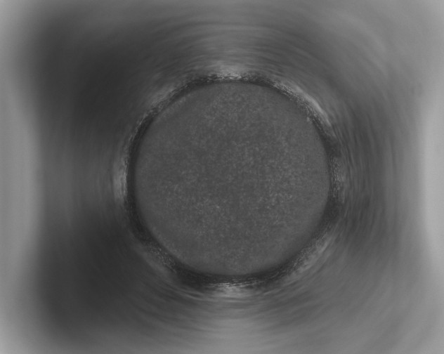 X0000101420496200807211132