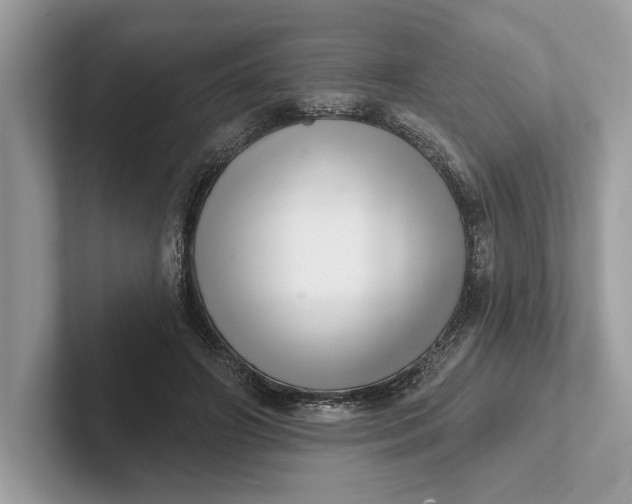 X0000101420498200807211132