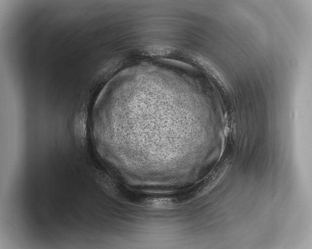 X0000101420501200807211132