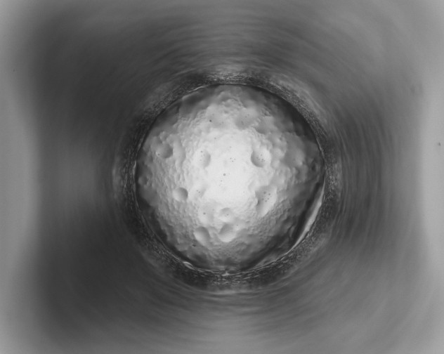 X0000101420503200807211132