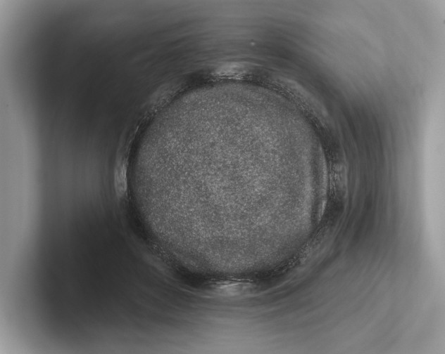 X0000101420504200807211132