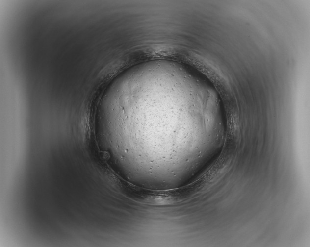 X0000101420506200807211132