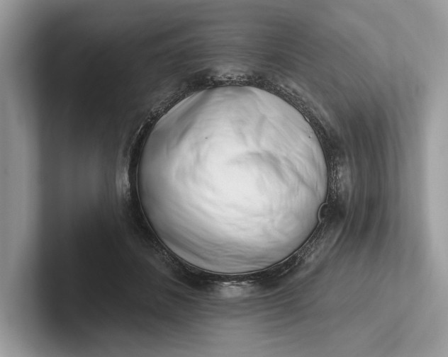 X0000101420508200807211132