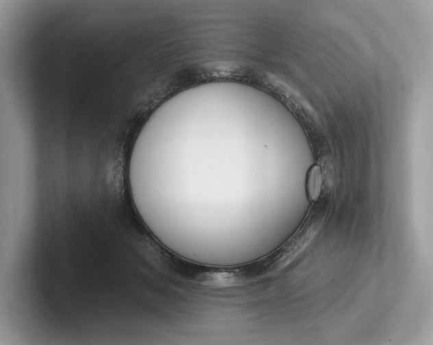 X0000101420509200807211132