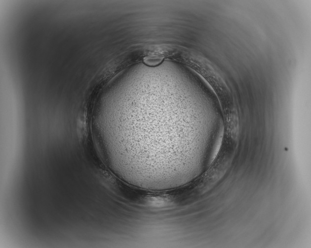 X0000101420510200807211132