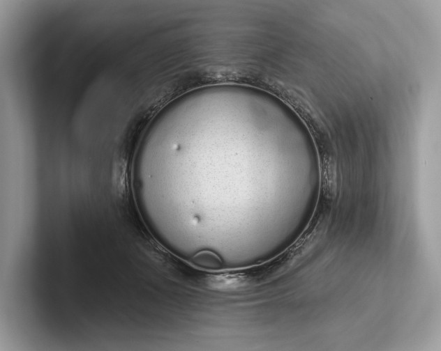 X0000101420511200807211131