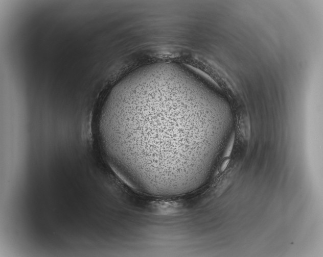 X0000101420512200807211131