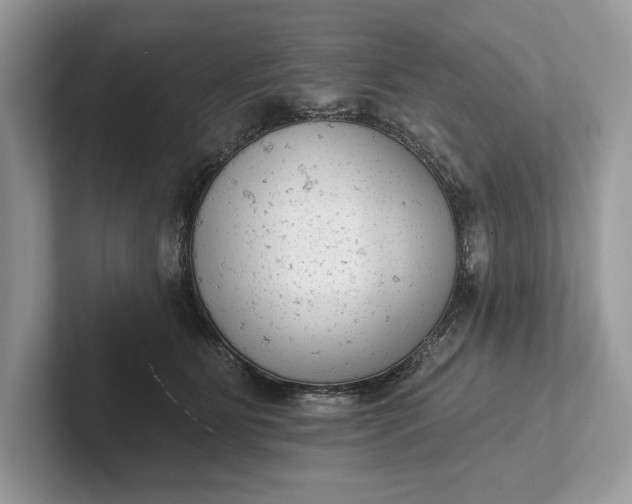 X0000101420515200807211131