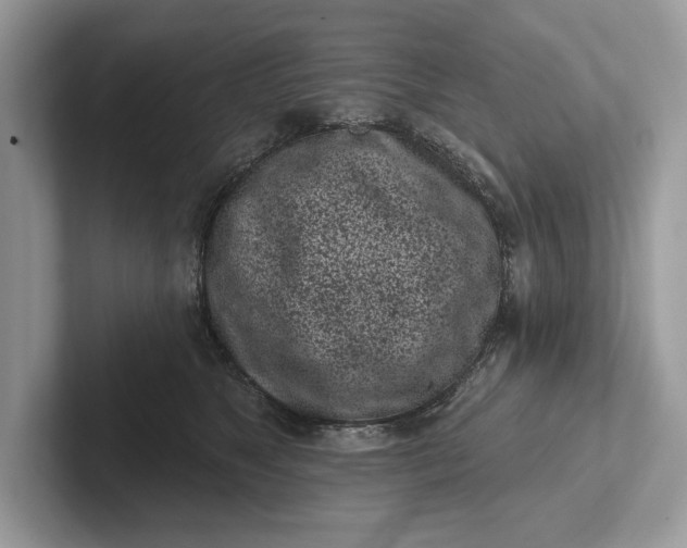 X0000101420517200807211131