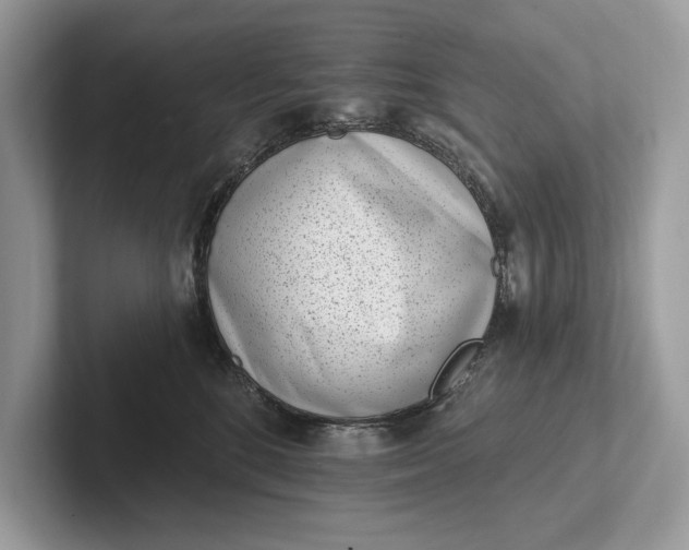 X0000101420520200807211131