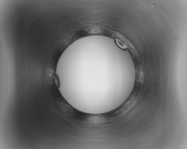 X0000101420521200807211131
