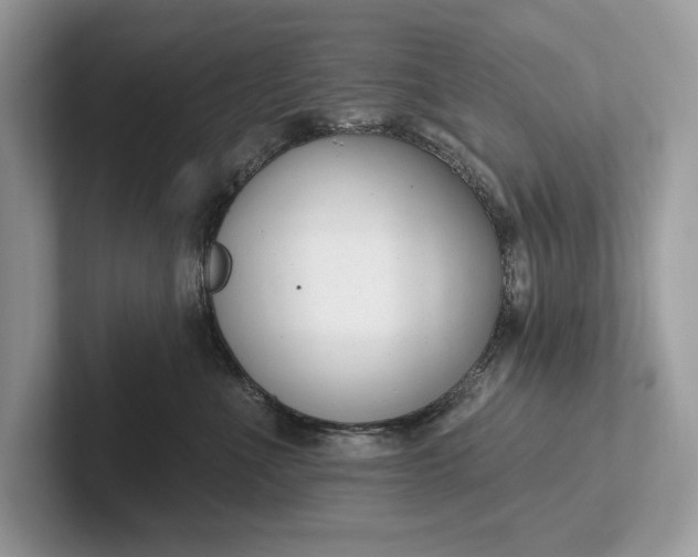 X0000101420523200807211131