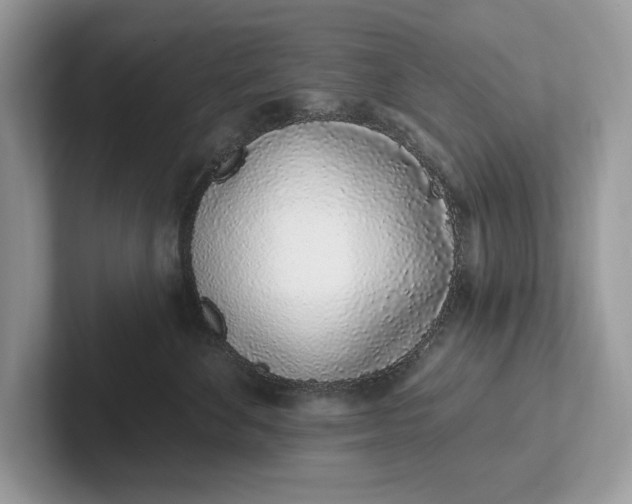 X0000101420524200807211131