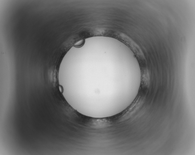 X0000101420525200807211131