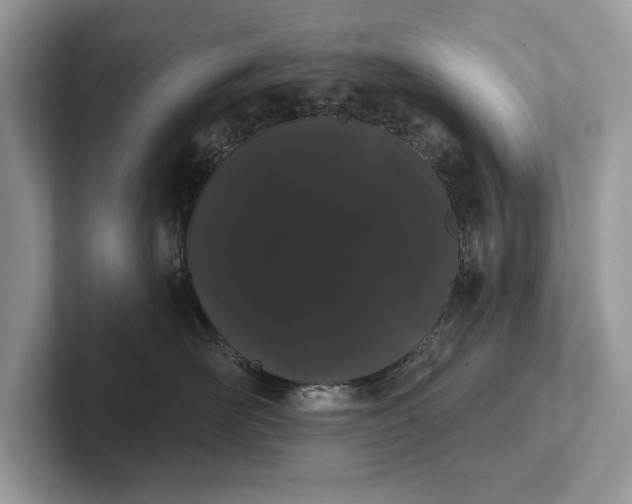 X0000101420526200807211131