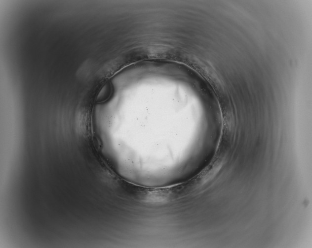 X0000101420527200807211131