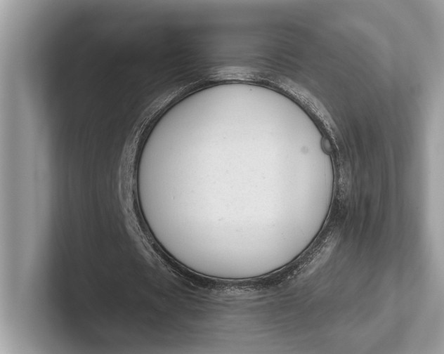X0000101420529200807211131