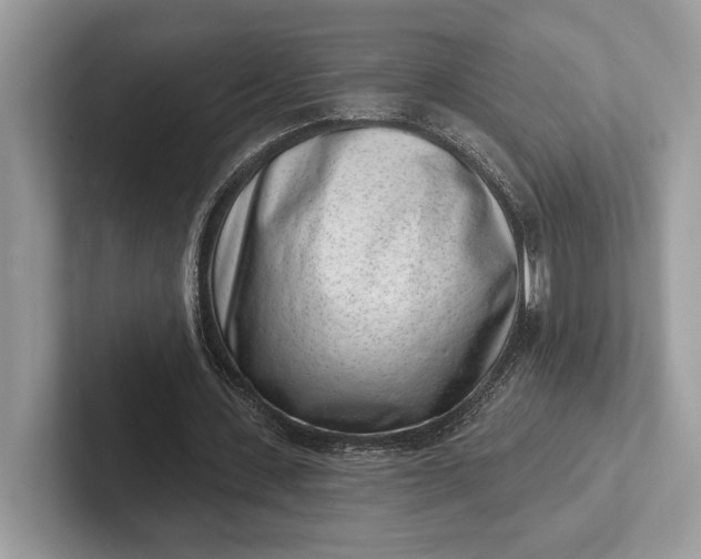 X0000101420531200807211131