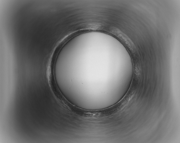 X0000101420532200807211131