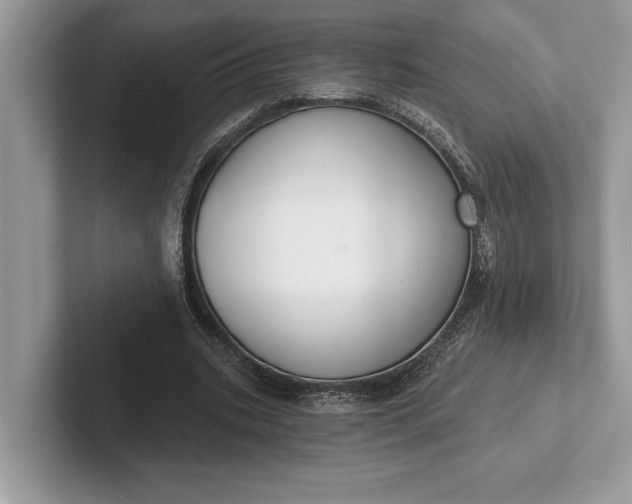 X0000101420535200807211131
