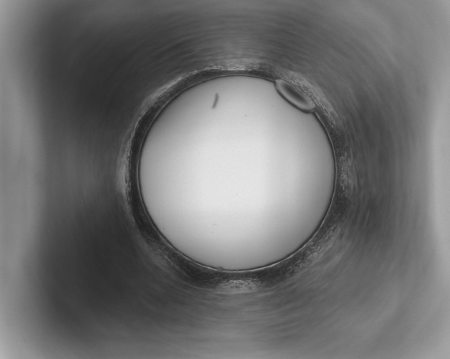 X0000101420536200807211131